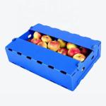 Fruit Corrugated Plastic Packaging Boxes Environmental Protection