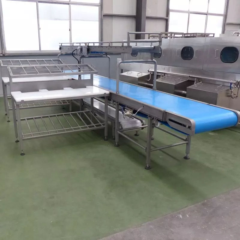 Customizable Poultry Slaughtering Line 200KG Stainless Steel Poultry Processing Line