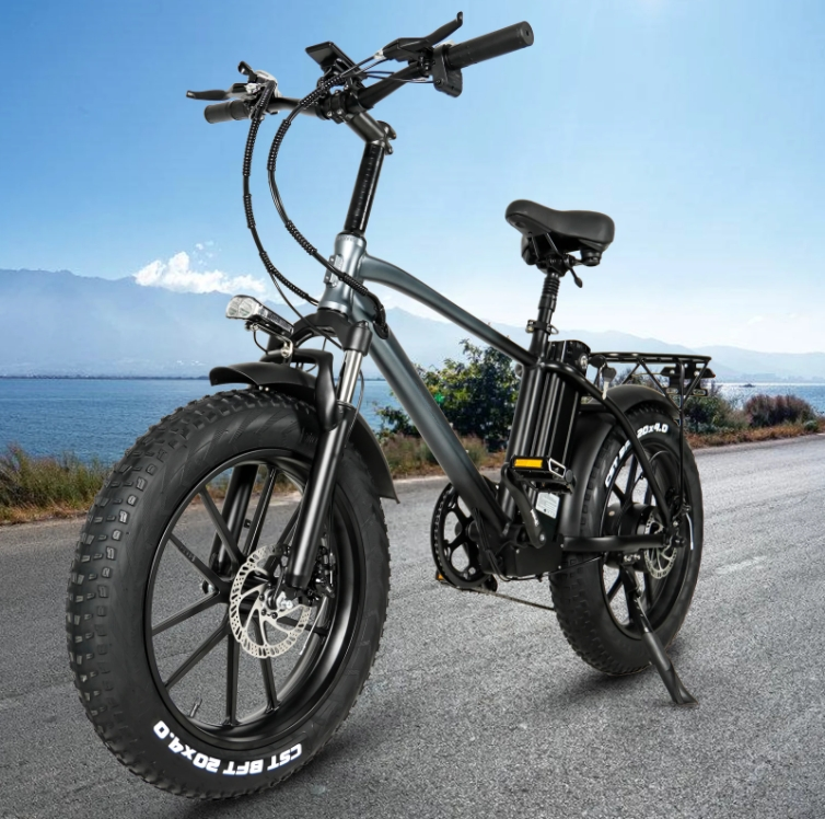 18Ah Lithium Battery Electric Hybrid Bike 750W 20 Inch Fat Tire Mountain Ebike For Adult