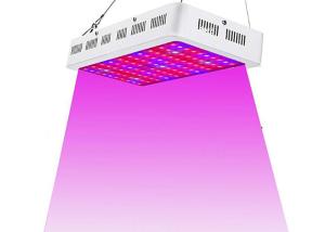 Wholesale Indoor Garden 1200 Watt Grow Light With Fault Self Inspection System from china suppliers