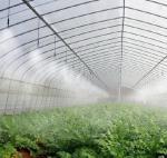 Customization Snow Vibrator Greenhouse for Tomato Planting Request Your