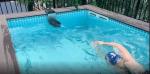 Transform Your Rise Interior into a Swimming Destination with Aupool Above