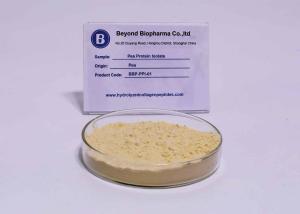 Wholesale Food Grade Organic Pea Protein Isolate Powder For Nutritional Food Supplements from china suppliers