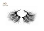 Mink Hairs Fan Shaped 100% Handmade 6D Volume Lashes