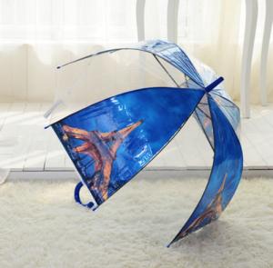 Wholesale Cute Full Coverage Dome See Through Umbrella , Durable Clear Bubble Umbrella from china suppliers