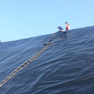 Wholesale 2mm HDPE Geomembrane Liner for Fish Shrimp Farming Pond Water Protection Solution from china suppliers