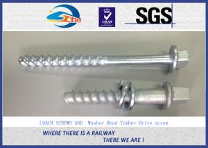Wholesale Rail Bolt Fastener Railway Fastening SS Sleeper Screw With Washer / Screws from china suppliers