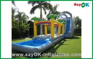 China Commercial Inflatable Swimming Pool Slide Backyard Kids Inflatable Bouncer Slide Action Air Jumping Castle With Pool on sale