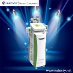 Wholesale price high performance best quality 5 handles beco cryolipolysis for