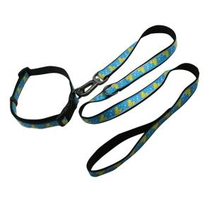 Wholesale Double Layer Harness Leash Set Waterproof Pet Collar Leash For Dog from china suppliers