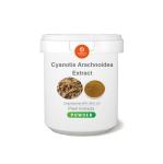 Natural Cyanotis Arachnoidea Extract Powder 90% 98% Beta Ecdysterone Powder