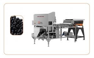 Wholesale Black Beans Infrared Sorting Machine More Than 1T/H from china suppliers
