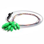 SC APC 12core Fanout Fiber Optic Pigtail SM Simplex 1.5M Optical Fiber Pigtail