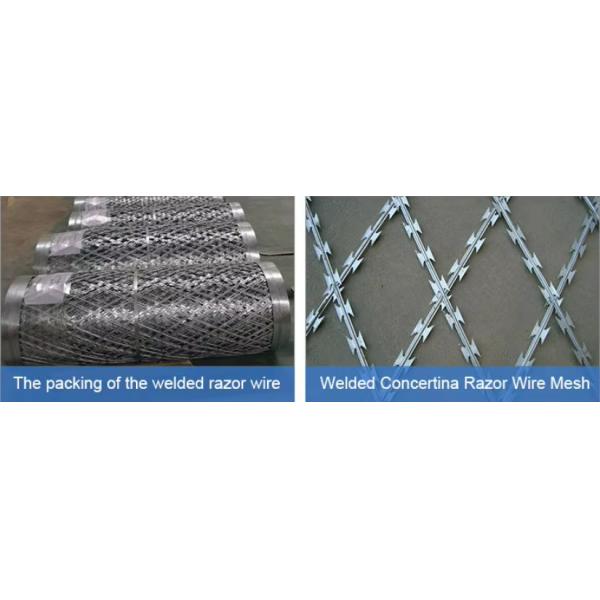 High Density Flat Type Single Razor Concertina Razor Wire for Secure Fencing