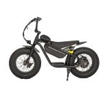 Electric Dirt Bike with Down Tube Battery Position 48 13AH Small Size Fat Tire