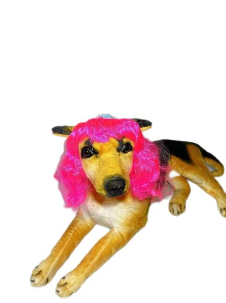 Rainbow Colors Sturdy Nylon Pet Toupees One Size Fits All Quick-Dry Material