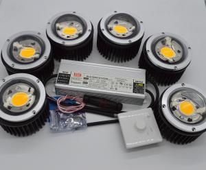 Wholesale 300W CXB3590 DIY Grow Light with Lens Solution Applicated for Growing Cabinnis and Flowers from china suppliers
