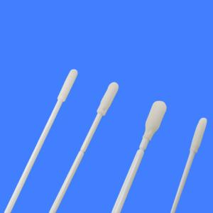 Wholesale Disposable Iclean Specimen Collection Swab Cotton / Sponge / Foam Customized from china suppliers