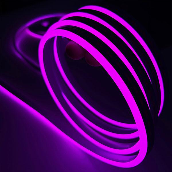 Indoors Outdoors LED Neon Flex Strip SMD2835 LEDs 12V Waterproof Flexible