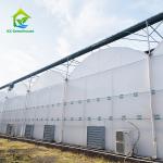 Tropical Agricultural PE Plastic UV Resistant Film Multi Span Greenhouse For