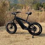 Powerful 750W Ebike with Super Light Carbon Fiber Frame and Down Tube Battery