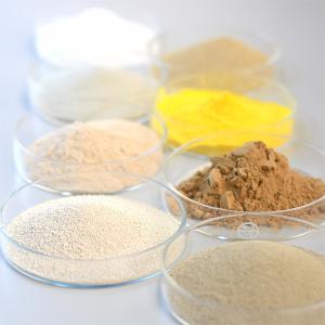 Wholesale Tanning Protease Suitable For Dehairing And Softening Skins Removing Impurity Protein from china suppliers
