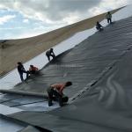 Length 50m-200m/roll HDPE Geomembrane for Landfill Fish Pond and Dam Liner at
