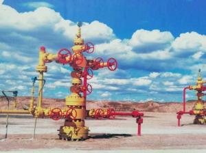 Wholesale API 6A AA-HH Wellhead Christmas Tree Oil And Gas Custom Color from china suppliers