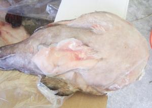 Wholesale Iqf Freezing Seared Monkfish 10 Kg Net Weight 24 Months Shelf Time from china suppliers