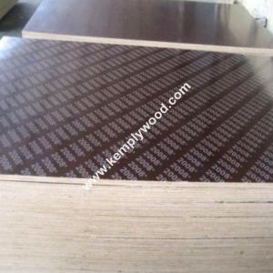 China Brown Film Faced Plywood Prices Poplar Core/Hardwood Core Brown Film Faced Glued Laminated Timber film face plywood on sale