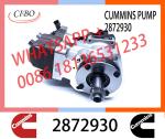 Diesel Injection Fuel Pump 4903462 2872191 4902731 2872930 4921431 For Cummins