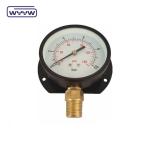 75mm Flange Type Economy Pressure Gauge Kg And Psi Bottom Mount