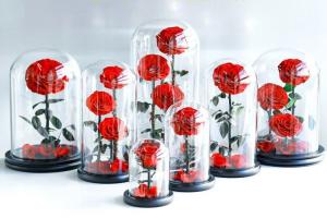 China Wholesale New Design Preserved flower  Eternal Rose in Glass Home Decoration on sale