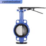 Normal Temperature Wafer Butterfly Valve Template for OEM Port Size Needs