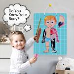 Human Anatomy Body Parts Learning Magnetic Jigsaw Puzzles Games for Toddlers