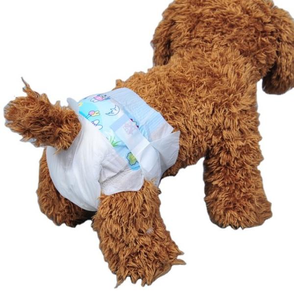 Affordable Disposable Pet Diaper No Leakage and Sustainable Cotton Material for