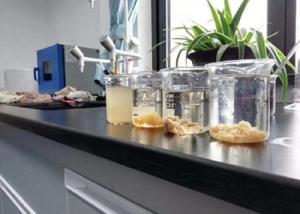 Wholesale Cationic Polymer Sludge Conditioner Mining Industry Chemical Sedimentation Additive from china suppliers