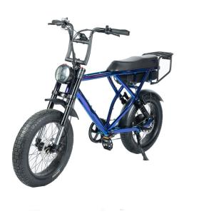 Wholesale 48V 20 Ah Fat Tyre Electric Bike for Customized Blue Beach Bikes Cruisers from china suppliers