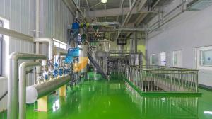 Wholesale Coconut Oil Pressing Plant Avocado Oil Processing Machine Easy Operation from china suppliers