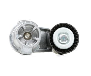 Wholesale BMW 11288604266 Engine Parts Drive Belt Tensioner from china suppliers
