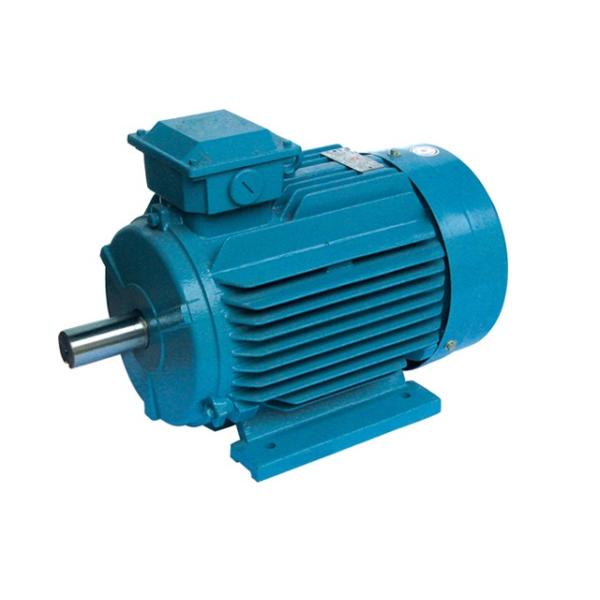 Industry Use Permanent Magnet Synchronous Electric Motor Manufacturer
