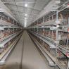 Buy cheap 380V 3 Phase A Type Layer Cages , U Shape Steel Chicken Feeding Equipment from wholesalers