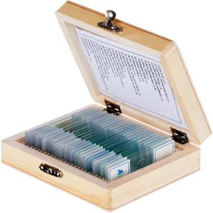Wholesale Chicken Embryo Prepared Glass 25pcs Zoology Microscope Slides In Wooden Box from china suppliers