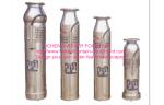 Stainless Steel Casting Garden Fountain Pumps Electric Diving Type