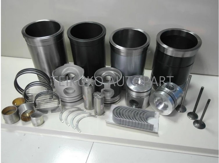 High Performance F17C Diesel Engine Piston Cast Iron Material 13216-1910L