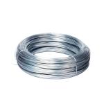 Budget-Friendly 6.0.5mm to 6mm Hot Dipped Galvanized Steel Wire with Electro