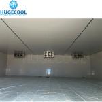Customized Cold Storage Room Chiller Freezer Room With Condensing Unit