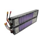 OEM ODM LiFePO4 lithium battery pack Customized Electric scooter battery 24V 36V