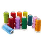700 Colors 100% Polyester Embroidery Thread for Machine Embroidery Delivery Fast
