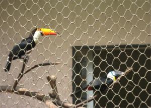 Wholesale Knotted Stainless Steel Aviary Mesh Heat Resistant Perfect Anti - Rust Property from china suppliers